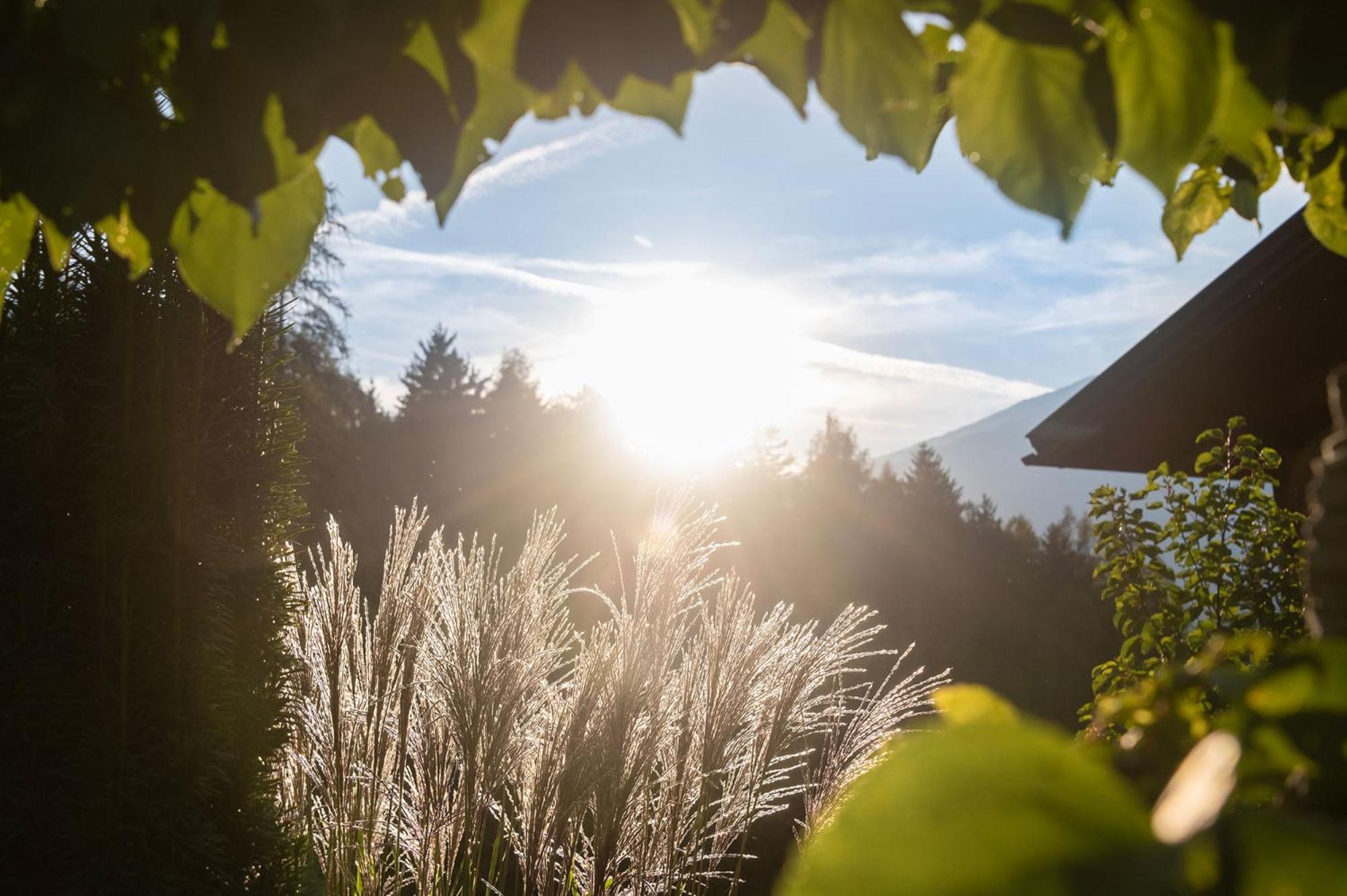 Niederthalerhof Chalets Bressanone Eksteriør billede